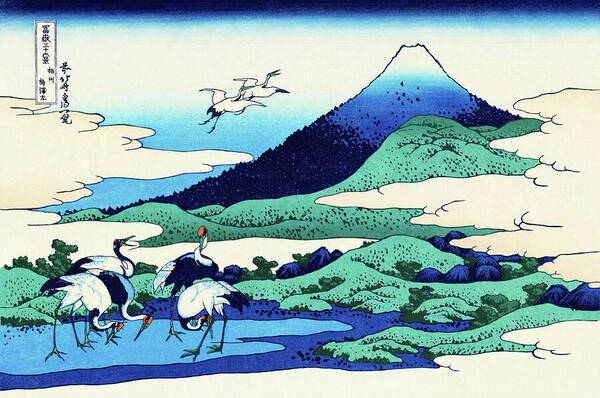 Katsushika Hokusai Poster featuring the painting Top Quality Art - Mt,FUJI36view-Soshu Umezawanosho by Katsushika Hokusai