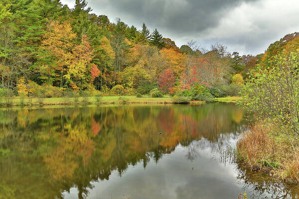 Pond In Autumn Poster featuring the photograph Triangle Lake by Steve Templeton