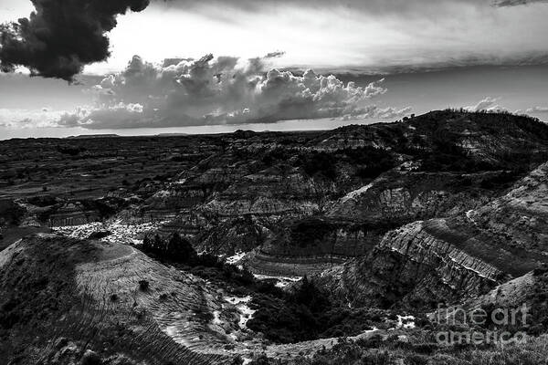 Black And White Poster featuring the photograph TRNP Black and White by Nathan Wasylewski