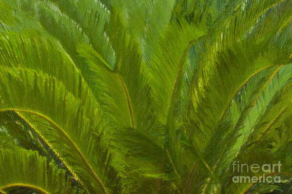Tropical Poster featuring the painting Tropical Sago Palm by Dale Powell