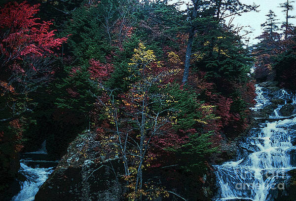 Nikko National Park Poster featuring the photograph Twin Falls 4 by Bob Phillips