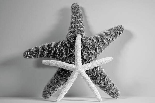 Starfishes Poster featuring the photograph Two Starfish by Angie Tirado