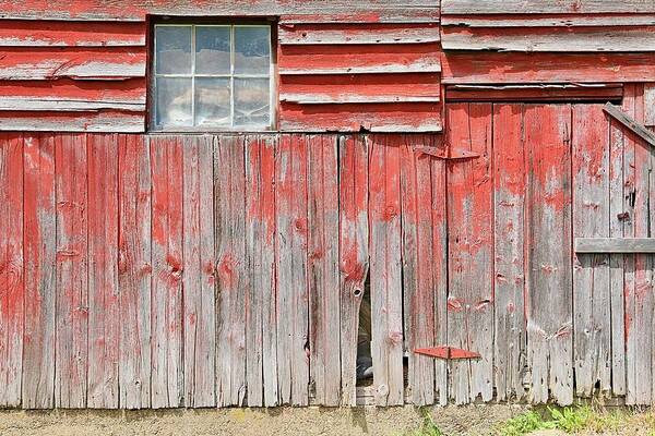 Barn Poster featuring the photograph Unwanted Red Barn by David Letts