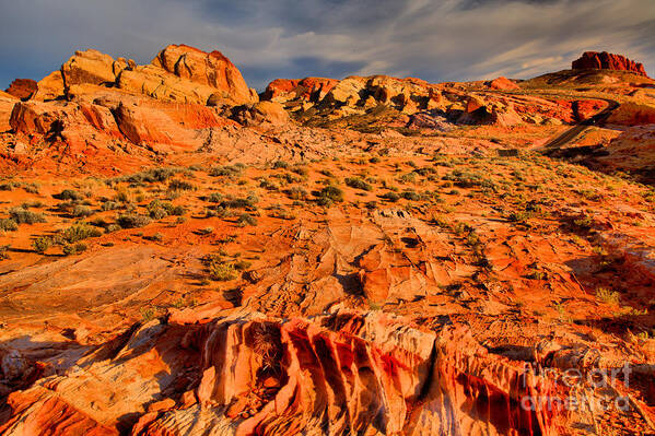 Valley Of Fire Poster featuring the photograph Valley Of Fire Landscape by Adam Jewell