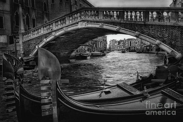 Gondola Poster featuring the photograph Venice Ponte delle Guglie bnw by The P