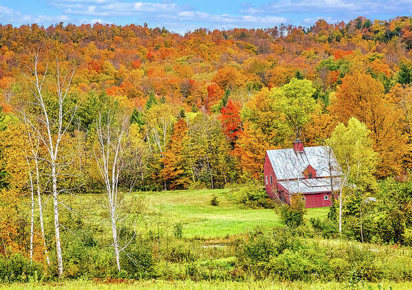 Vermont Poster featuring the photograph Vermont's Autumn Spendor by Mitchell R Grosky