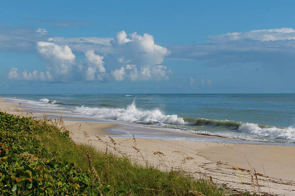 Beach Poster featuring the photograph Vero Beach by Les Greenwood