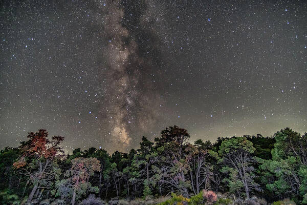 Milkyway Poster featuring the photograph Vertical by Daniel Hayes