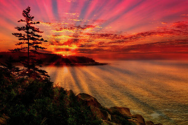 Acadia National Park Poster featuring the photograph Vibrant Acadia Sunrise by Dennis Dame