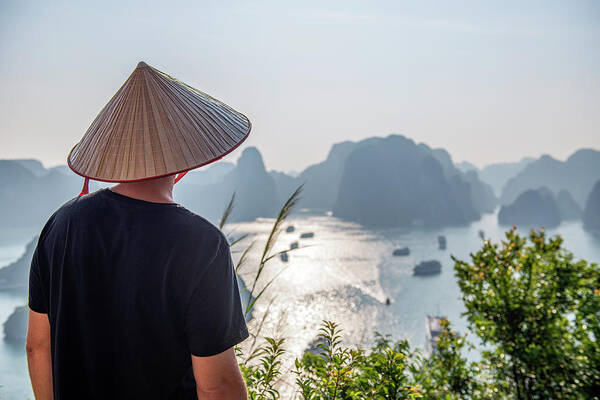  Poster featuring the photograph View Over Halong Bay by Dubi Roman