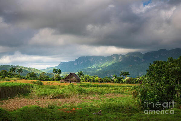 Vinales Poster featuring the photograph Vinales valley by Yuri Santin