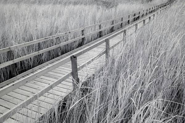 Architecture Poster featuring the photograph Walk Through the Marsh Infrared by Liza Eckardt