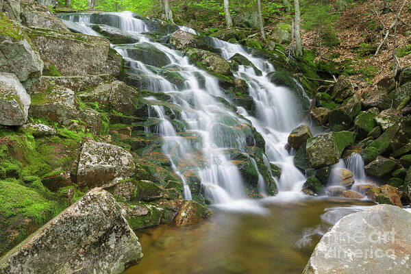 Airmen Falls Poster featuring the photograph Walker Brook - North Woodstock, New Hampshire by Erin Paul Donovan