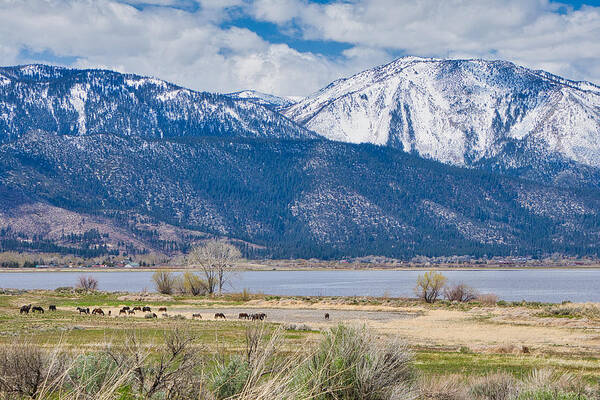 Washoe Lake Poster featuring the photograph Washoe Lake by Steph Gabler