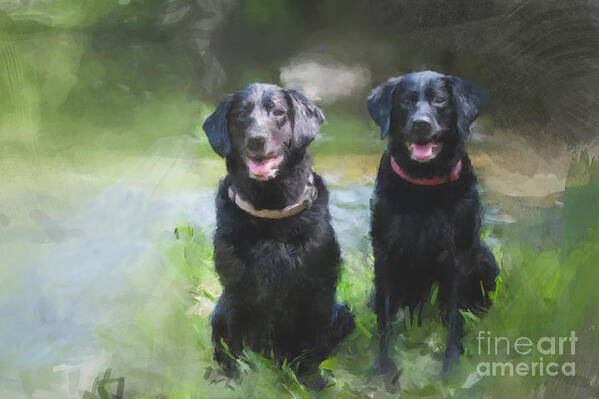  Poster featuring the painting Water Dogs by Gary Arnold