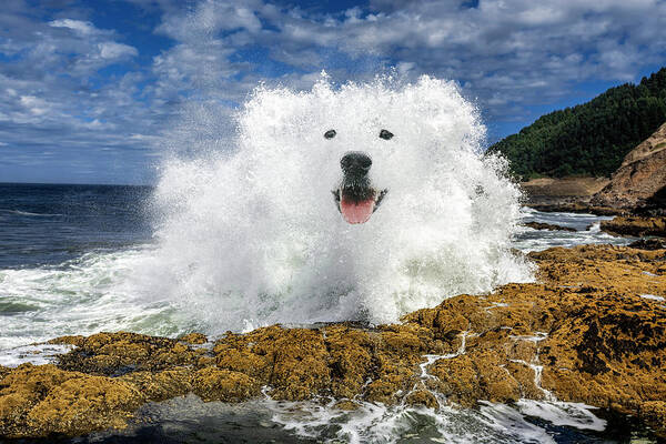 Smiling Dog Poster featuring the digital art Waterdog by Pelo Blanco Photo