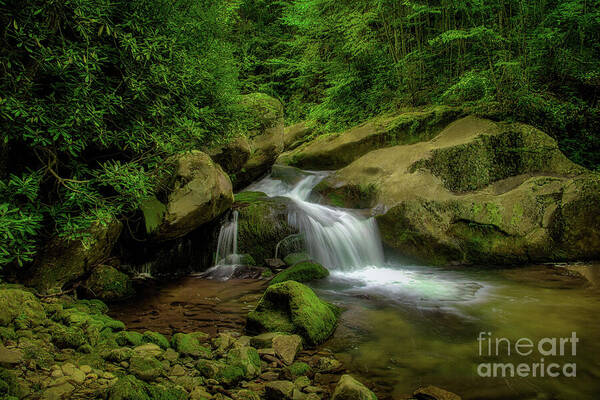 Waterfall Poster featuring the photograph Waterfall in Cherokee National Forest by Shelia Hunt