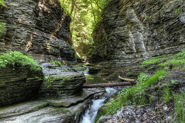 Landscape Poster featuring the photograph Watkins Glen Gorge by Chad Dikun