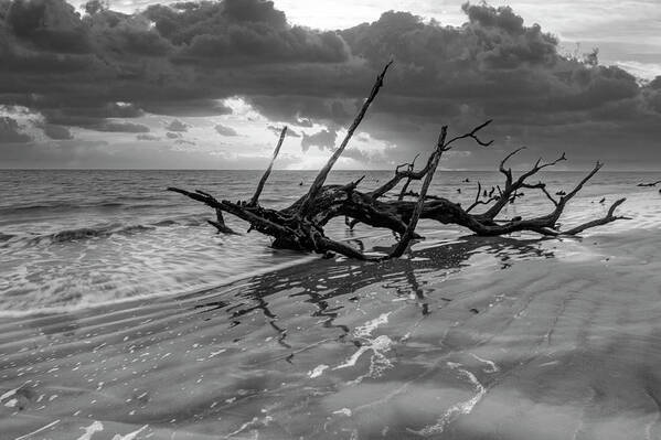 Black Poster featuring the photograph Waves at Sunrise Jekyll Island Black and White by Debra and Dave Vanderlaan