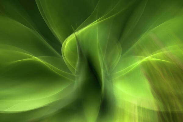Agave Poster featuring the photograph Waves of Green by Linda Villers