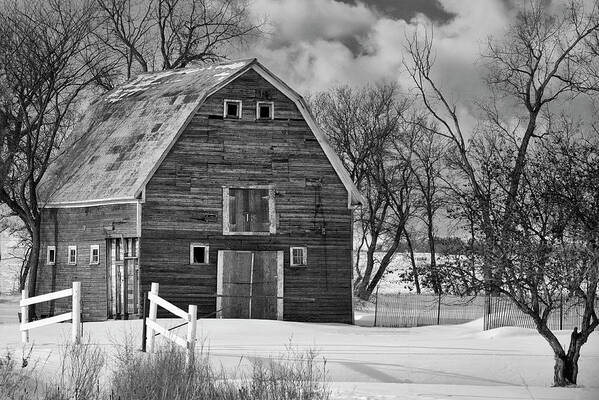 Barn Weathered Farm Prairie Black And White Old Building Manitoba Canada Poster featuring the photograph Weathered by Denise LeBleu