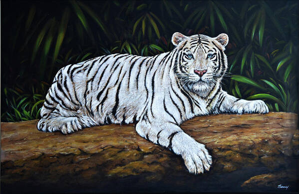 Tiger Poster featuring the painting White Bengal Tiger by Charles Berry
