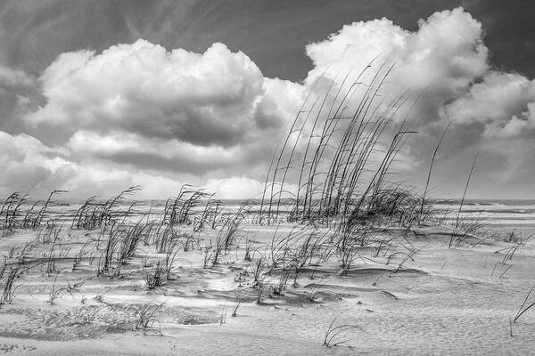 Clouds Poster featuring the photograph White Clouds over White Sands in Black and White by Debra and Dave Vanderlaan