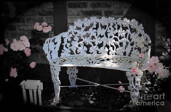 White Garden Bench Poster featuring the photograph White Garden Bench Classic Pink Rose Selective Coloring by Colleen Cornelius