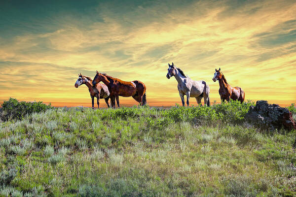 Wild Horses Poster featuring the photograph Wild Horses 5B by Sally Fuller