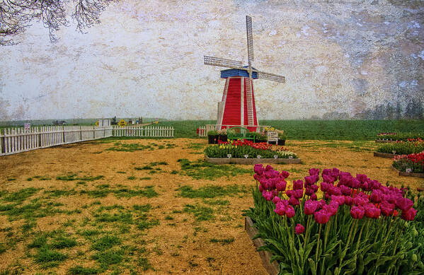 Hdr Poster featuring the photograph Windmill and Tulips by Thom Zehrfeld