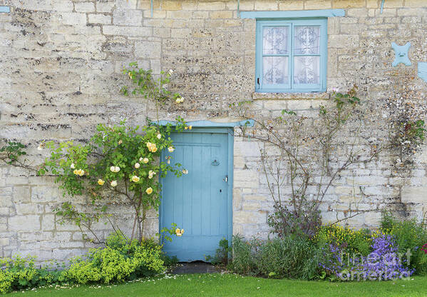 Windrush Poster featuring the photograph Windrush village Cottage Door and Roses by Tim Gainey