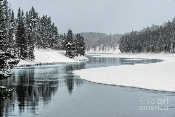 Landscape Poster featuring the photograph Winter Beauty by Sandra Bronstein