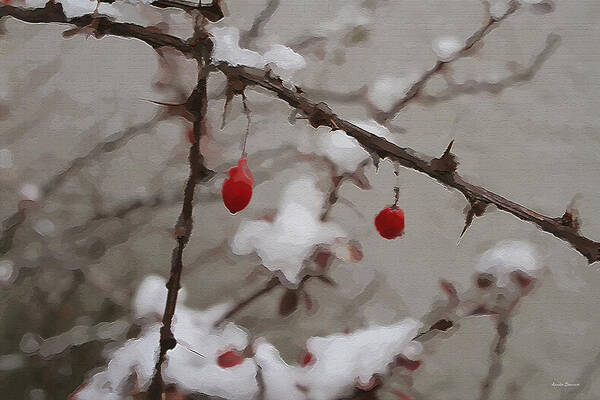 Winter Berries Poster featuring the photograph Winter Berries by Linda Sannuti