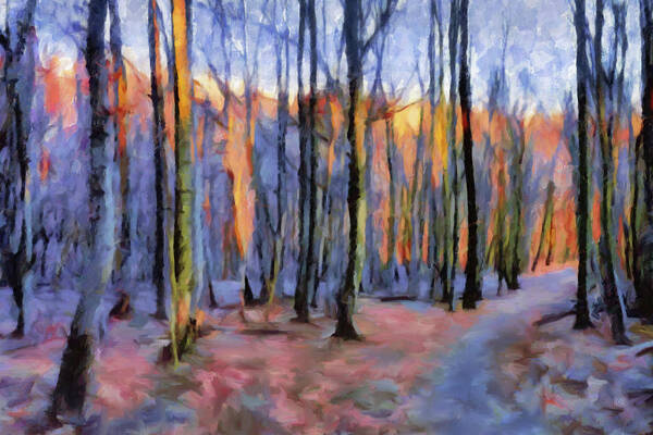 Winter Sunset Poster featuring the painting Winter Sunset in the Beech Wood by Menega Sabidussi