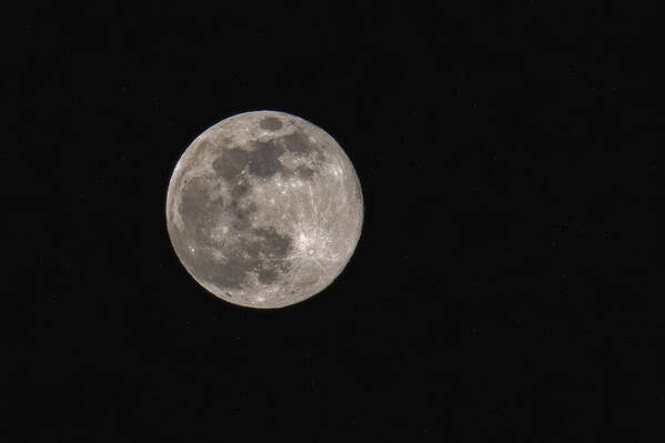 Wolf Moon Poster featuring the photograph Wolf Moon by Robert J Wagner