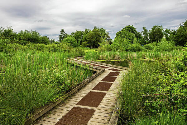 Alex Lubar Poster featuring the photograph Wooden walking path in the natural park by Alex Lyubar