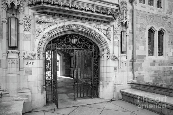 Yale University Poster featuring the photograph Yale University Davenport College Gate by University Icons