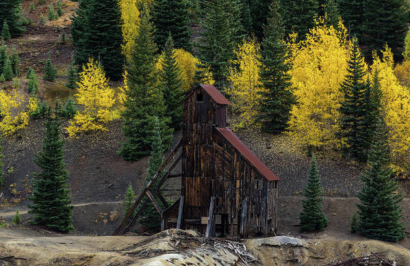 Aspens Poster featuring the photograph Yankee Girl Mine - 8764 by Jerry Owens