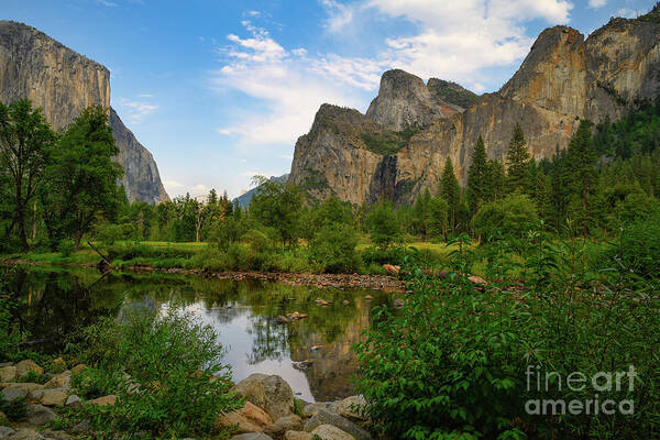 Yosemite Poster featuring the photograph Yosemite Valley, Yosemite National Park by Abigail Diane Photography