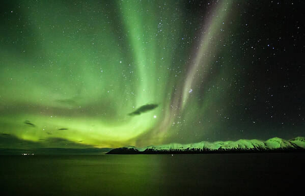 Aurora Borealis Poster featuring the photograph Aurora Borealis #4 by Frodi Brinks