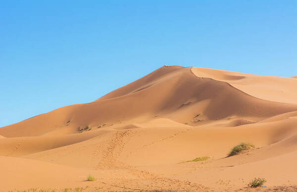 Bill Bachmann Poster featuring the photograph Morocco Sahara Desert Sand Dunes In Las #1 by Bill Bachmann