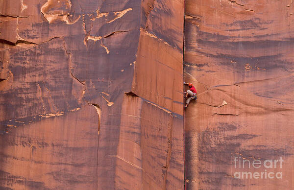 00559218 Poster featuring the photograph Rock Climber Indian Creek Utah by Yva Momatiuk John Eastcott
