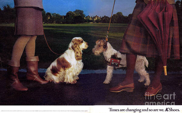 Dogs Poster featuring the drawing 1980s Uk K Shoes Magazine Advert by The Advertising Archives