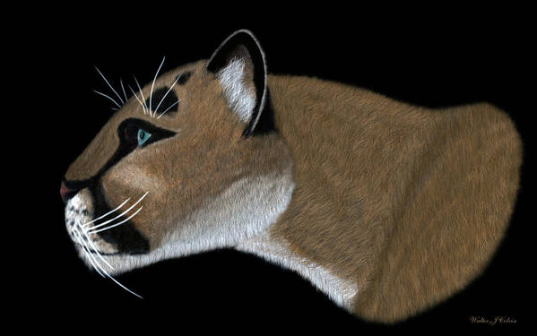 Cougar Portrait Poster featuring the digital art Cougar Portrait #1 by Walter Colvin