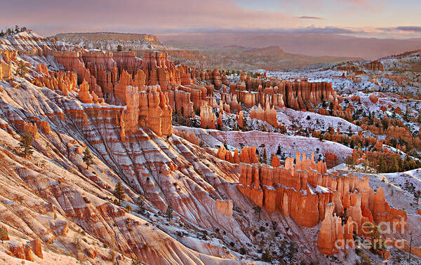Bryce Poster featuring the photograph Morning Snow at Bryce #2 by Roman Kurywczak