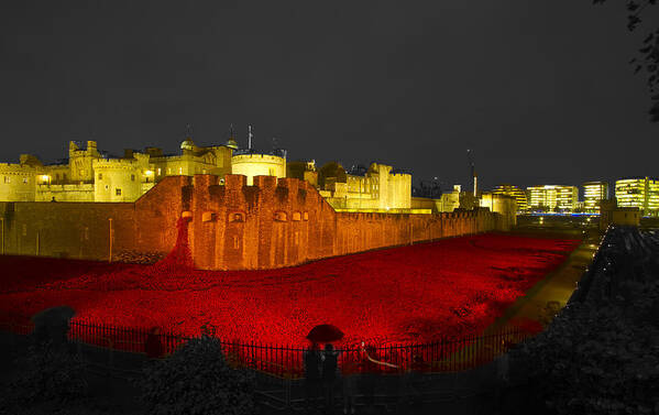 Night Poster featuring the photograph Poppies Tower of London night  #2 by David French