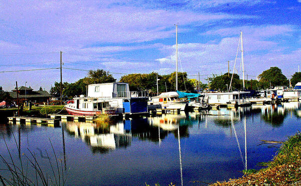 Light Poster featuring the photograph A Delta Autumn Reflection by Joseph Coulombe