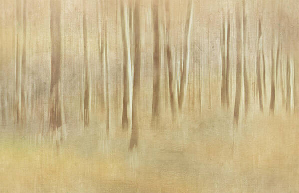 Abstract Poster featuring the photograph Abstract Forest by Heike Hultsch