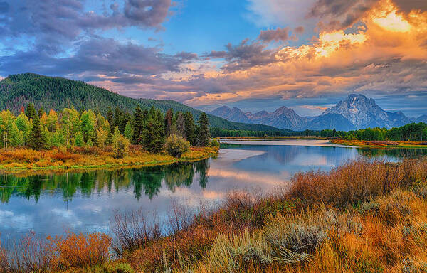 Oxbow Bend Poster featuring the photograph Autumn at Oxbow Bend Limited Edition by Greg Norrell