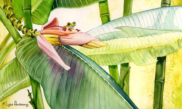 Frog Poster featuring the painting Banana Bloom by Lyse Anthony